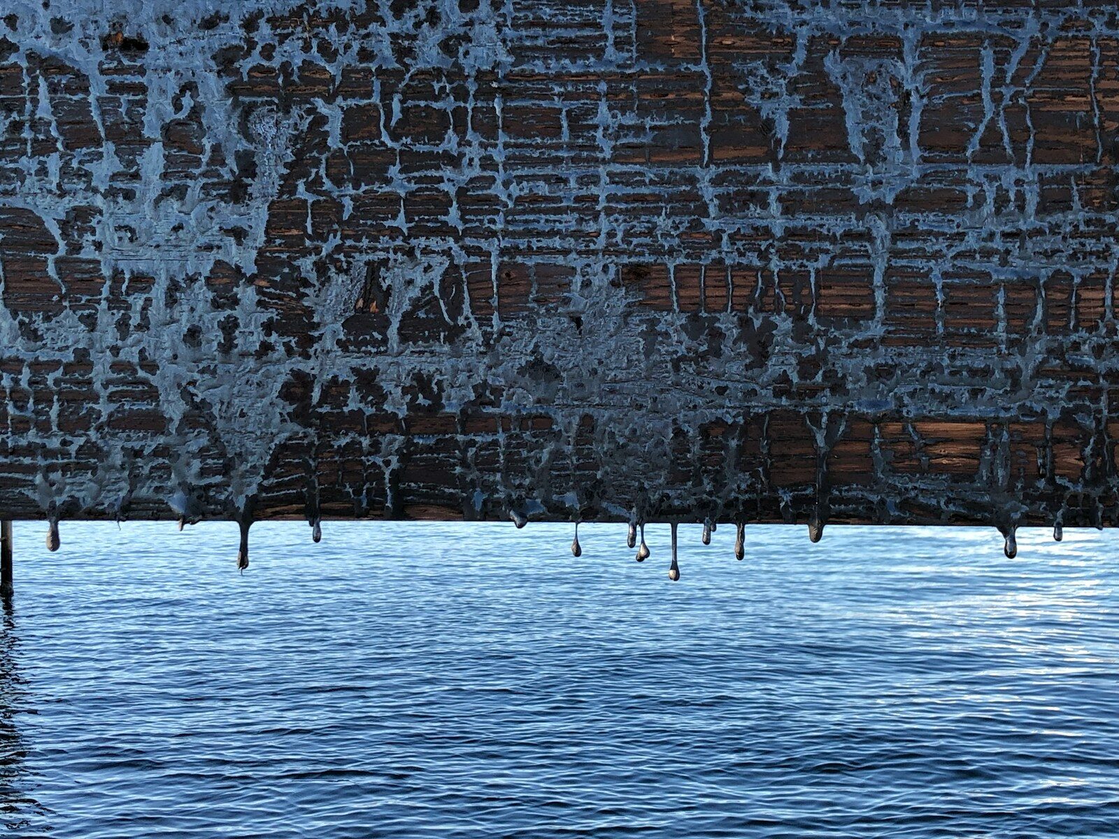 Tar.fyi: The Website Covering the World’s Most Overlooked Material